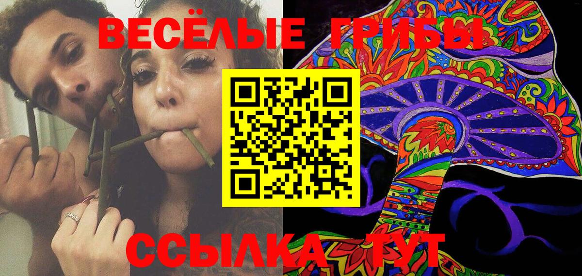 Тосно  Галлюциногенные грибы Magic Shrooms  Вход с VPN  купить   Псилоцибиновые грибы Psilocybine cubensis 